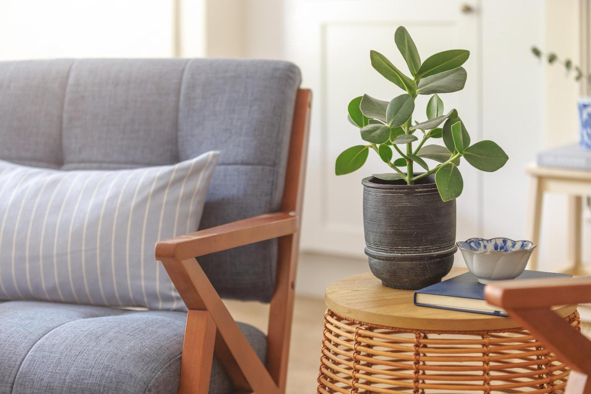 Ocean City Stylish Apartment Πλίμουθ Εξωτερικό φωτογραφία